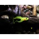 ORKA Double Tail 10cm
